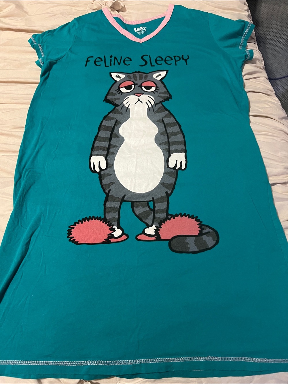 Lazy One Teal Nightshirt with Pink Trim and Sleepy Cat Slippers Graphic